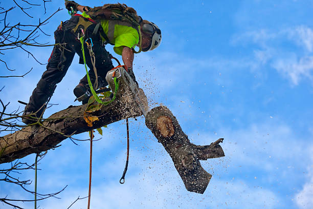 Best Lawn Watering Services  in Bolivar Peninsula, TX